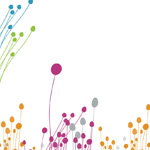 Canada Green Perfect Grass Seed Review