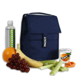 PackIt Freezable Lunchbag Review